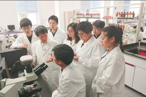 聚力中国原创聚焦超声技术，服务人民生命健康——重庆医科大学的创新与担当